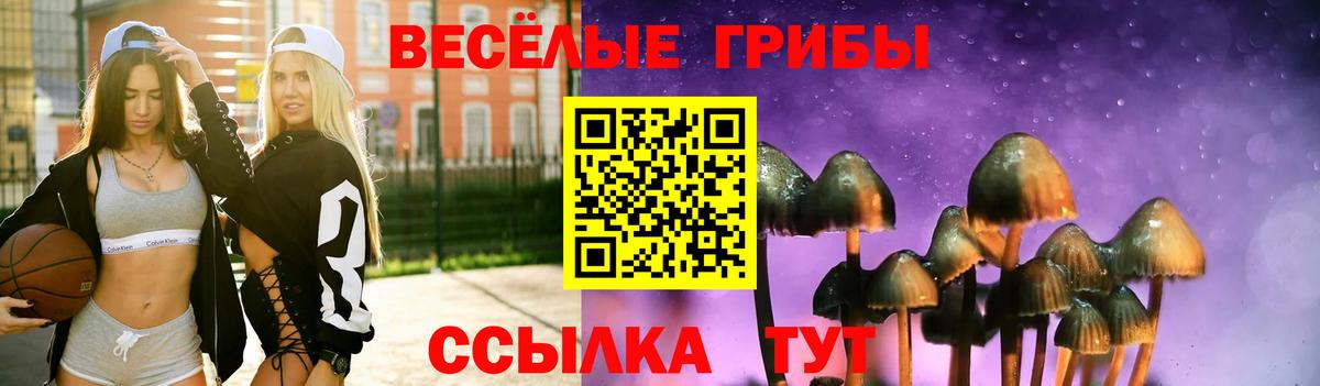 Краснотурьинск  Псилоцибиновые грибы Magic Shrooms  Вход с VPN  Галлюциногенные грибы Magic Shrooms 